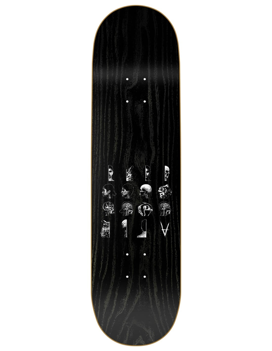 Antiz FACES Panou 8.3