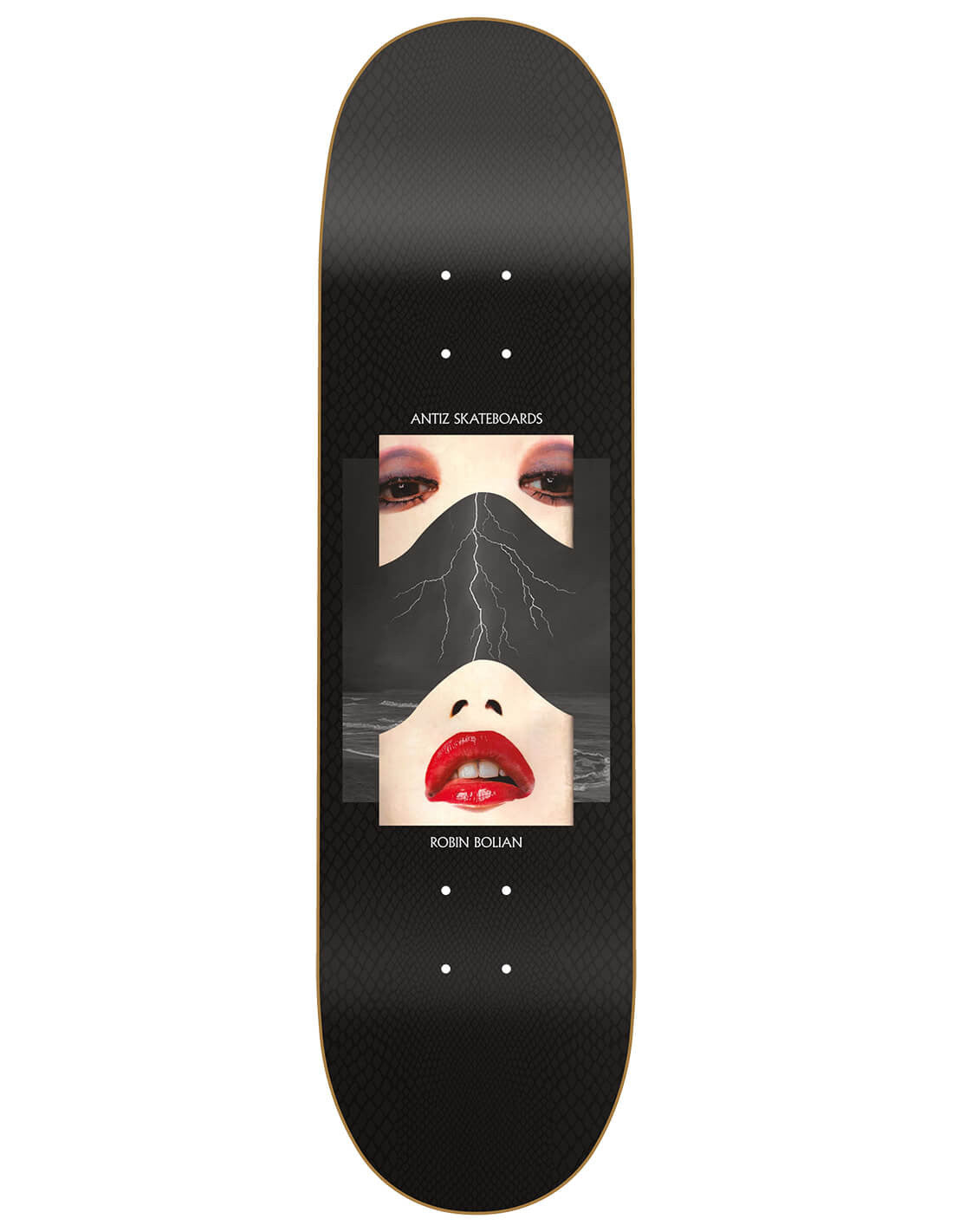 ANTIZ Robin Bolian 8.25