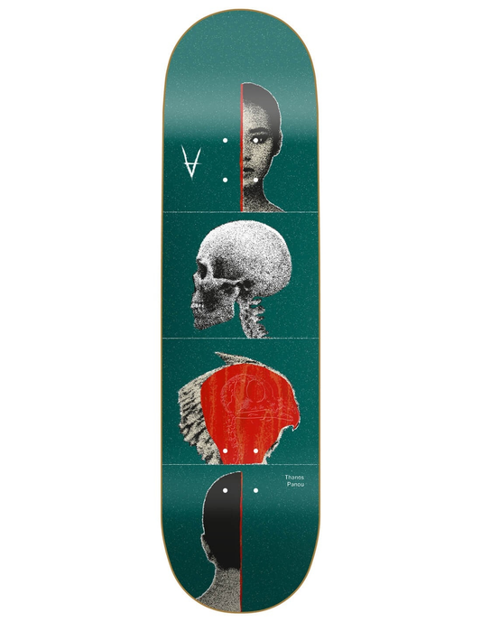 Antiz FACES Panou 8.3